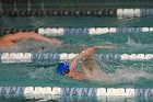 Swimming vs Babson  Wheaton College Swimming vs Babson College. - Photo By: KEITH NORDSTROM : Wheaton, Swimming, Babson